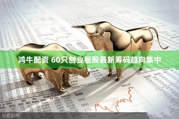 鸿牛配资 60只创业板股最新筹码趋向集中