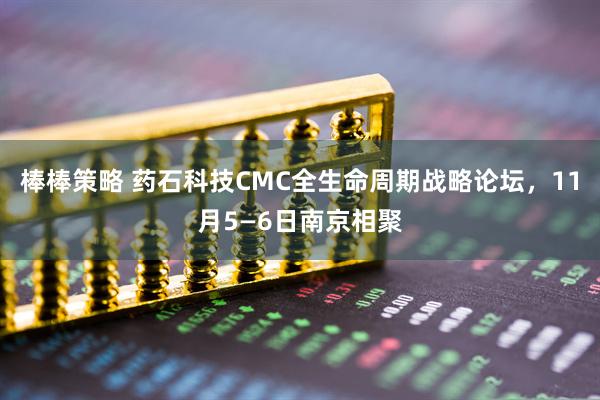 棒棒策略 药石科技CMC全生命周期战略论坛，11月5—6日南京相聚